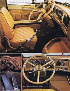 1979 Chevrolet Bruin-05.jpg